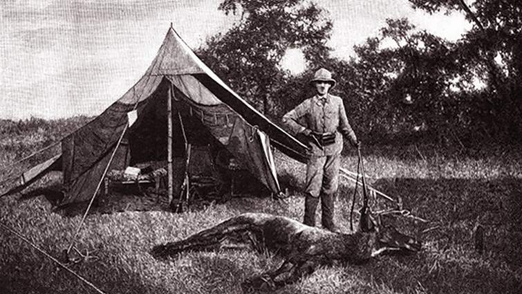 Задуха тем і сюжетів