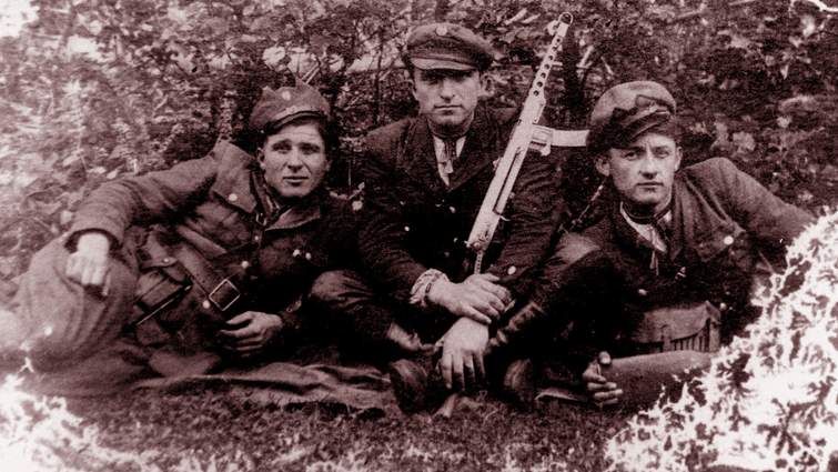 ІНП і «злочини українських націоналістів»